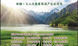 国产自产区,打造民族品牌新引擎